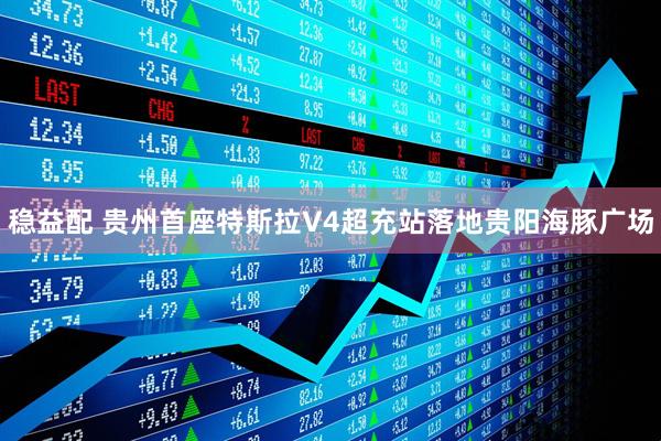 稳益配 贵州首座特斯拉V4超充站落地贵阳海豚广场