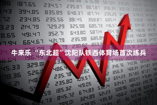 牛来乐 “东北超”沈阳队铁西体育场首次练兵